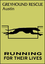 Greyhound Rescue Austin - Running for their lives