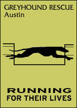 Greyhound Rescue Austin - Running for their lives